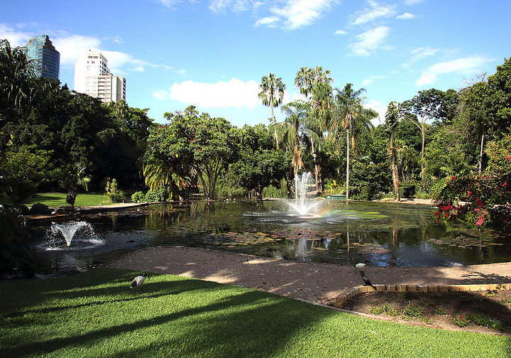 City Botanic Gardens