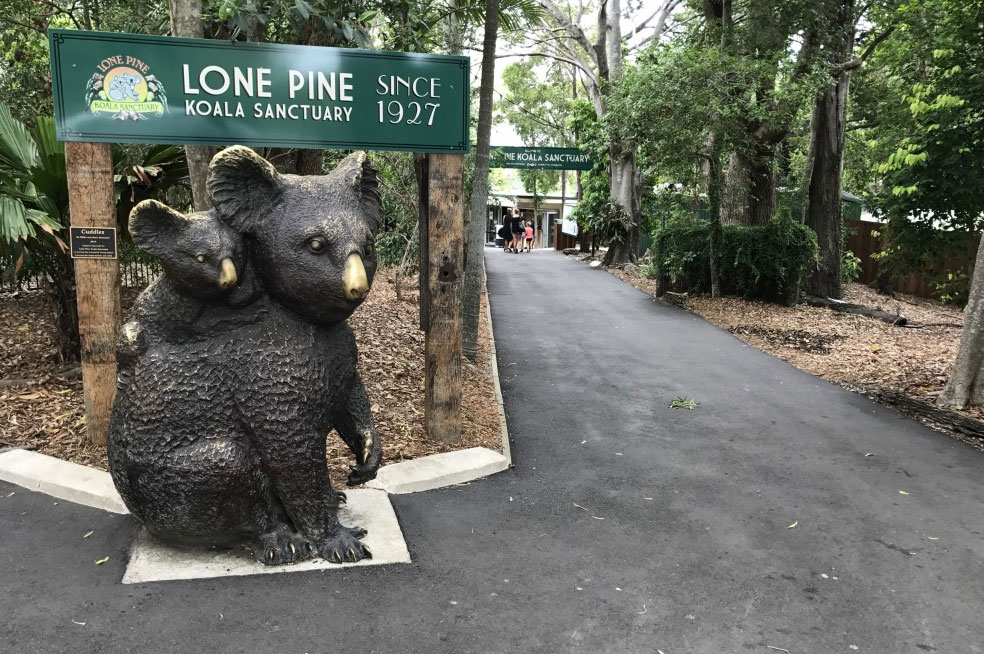 Lone Pine Koala Sanctuary Brisbane